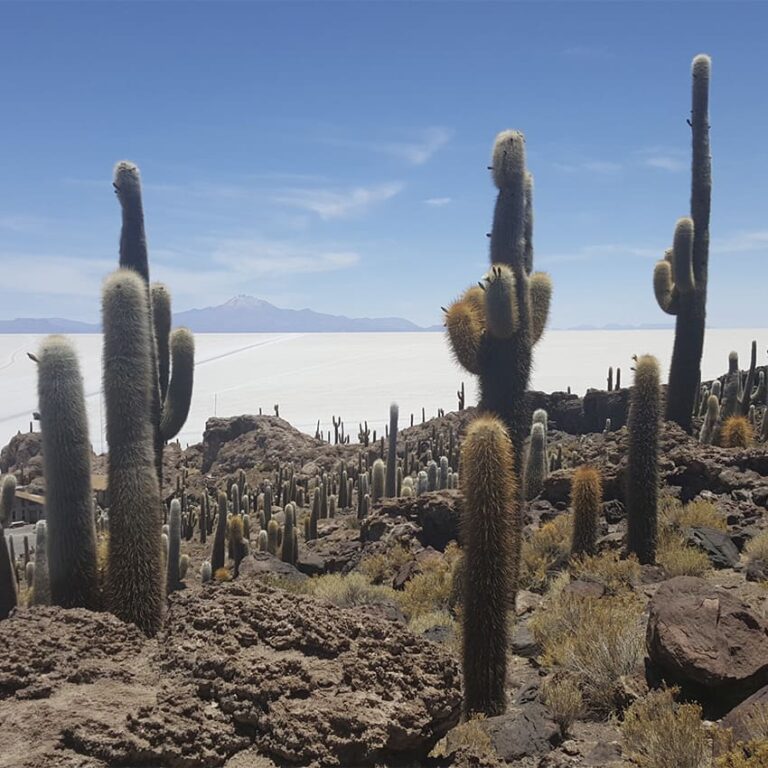 salar de uyuni